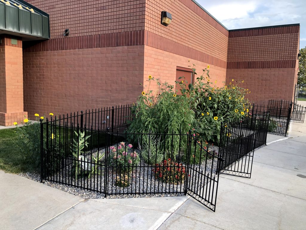 a gated garden with sunflowers and other butterfly attracting plants